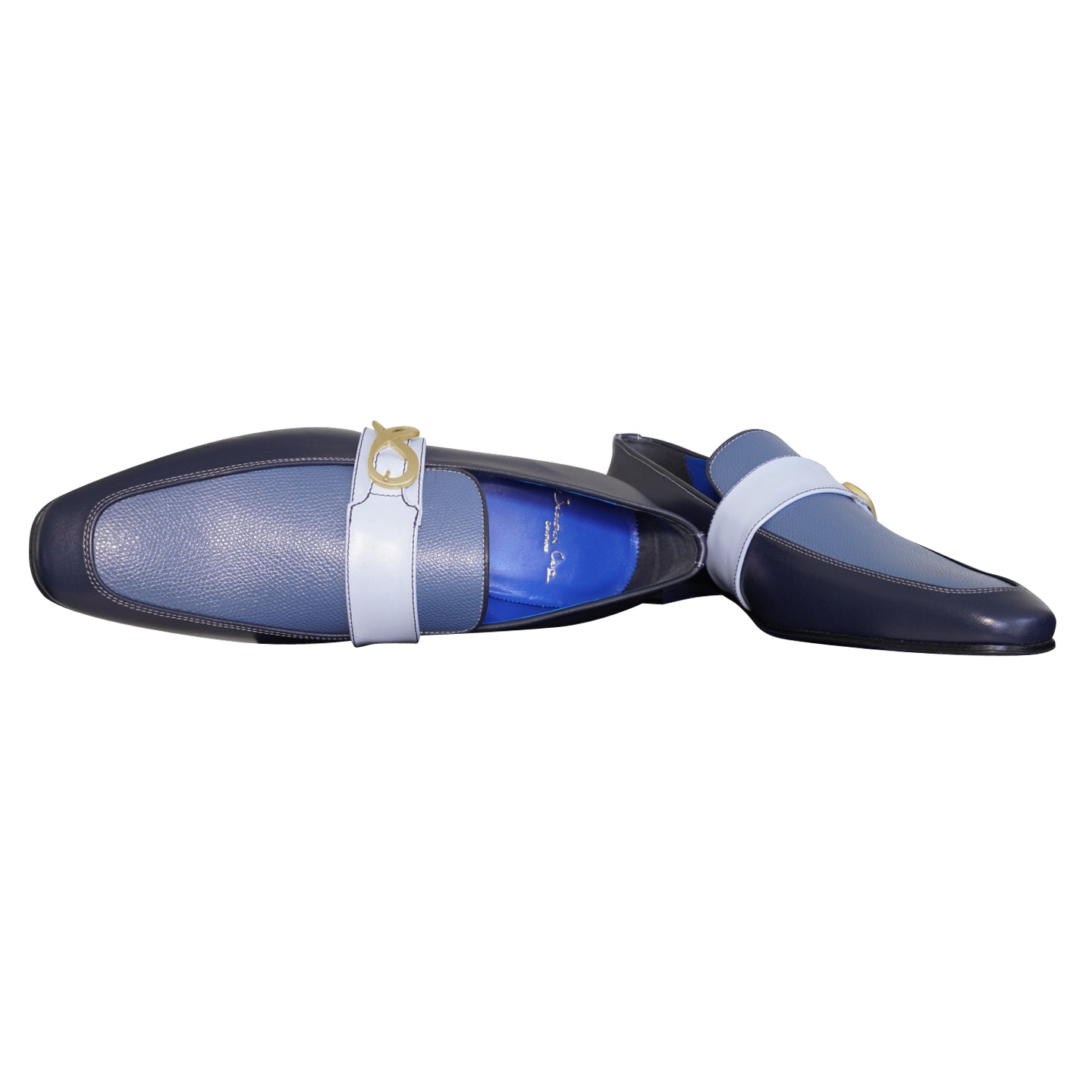 Blu Maya Leather Monk Strap loafer With Gold Buckle-8